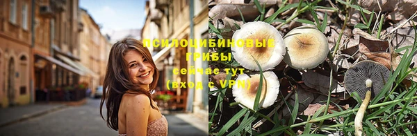 дживик Аркадак