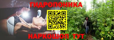 эйфоретик Берёзовский