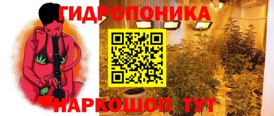 эйфоретик Берёзовский