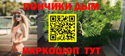 крисы Бийск
