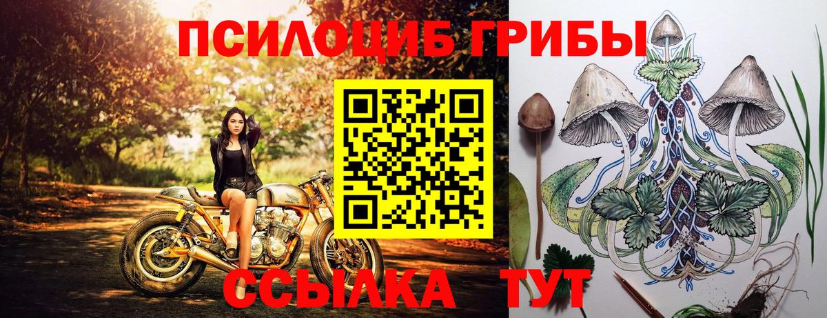 Галлюциногенные грибы прущие грибы  Вход с VPN  Волгодонск 